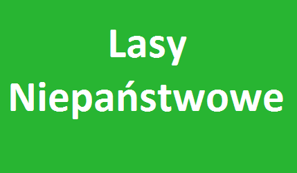 NADZÓR NAD LASAMI NIEPAŃSTWOWYMI