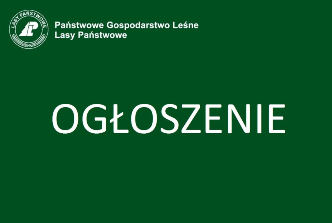 Ogłoszenie o naborze na staż dla absolwentów szkół średnich i wyższych na rok 2025/2026
