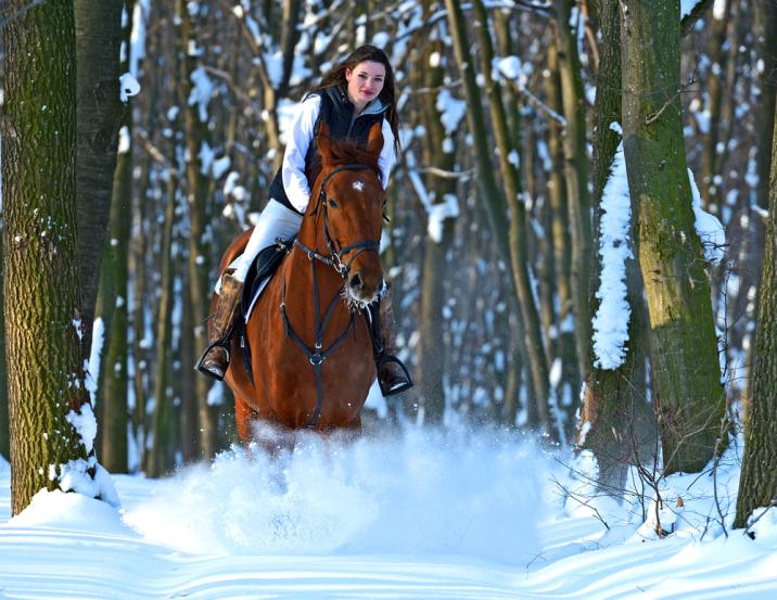 fot. Eduard Kyslynskyy/shutterstock.com