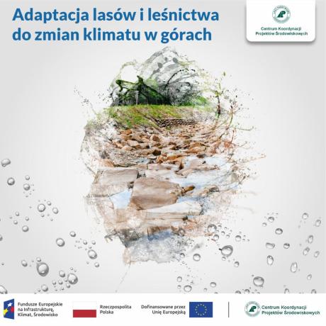 Adaptacja lasów i leśnictwa do zmian klimatu w górach