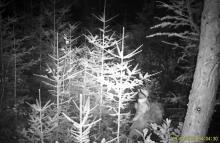 Ruszyła akcja "Stroisz 25"